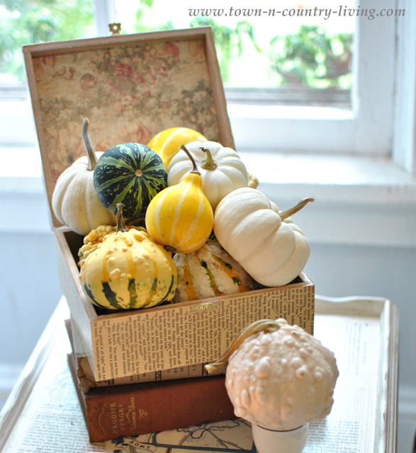the softer side of fall, seasonal holiday d cor, thanksgiving decorations, A cigar box decoupaged with book pages and scrapbook paper is stuffed full with various gourds