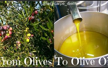 From Olives To Olive Oil