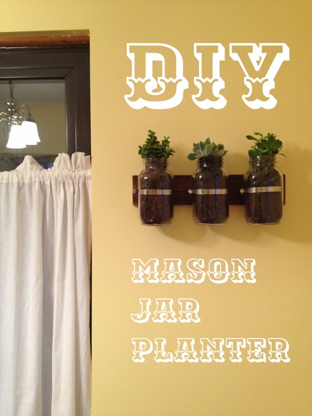 diy mason jar planters, diy, flowers, gardening, mason jars, repurposing upcycling, succulents, For this project you will need 1 Miracle Gro Potting Mix 2 Small pebbles or rocks 3 3 glass jars 4 Wooden board of any kind big enough for 3 jars to go horizontally or vertically 5 3 small plants for the jars