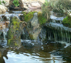 waterfalls all grown up ponds inc of illinois www ponds inc com created this, ponds water features