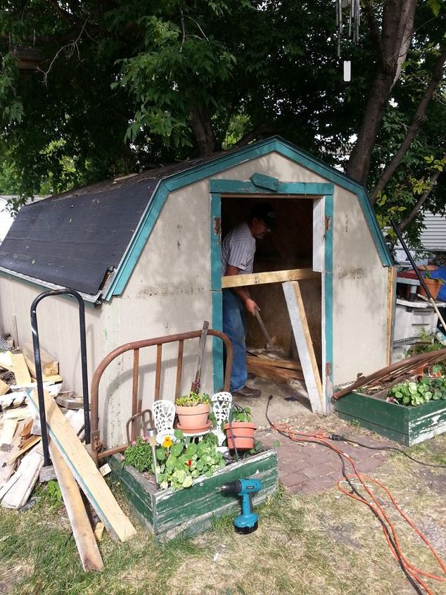 new shed makeover, cleaning tips, diy, outdoor living, repurposing upcycling, woodworking projects, The old and busted