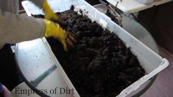 usando uma ferramenta de bloqueio de solo para facilitar o incio das sementes, A gua massageada na mistura inicial de sementes at que se formem grumos firmes quando espremidos na m o