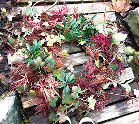 a natural leaf fall wreath straight off the tree, crafts, seasonal holiday decor, wreaths, A fall wreath comes together instantly with just a little natural backyard beauty