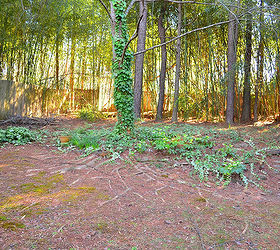landscaping the yard, gardening, landscape, Before