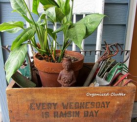 when i don t plant in junk i choose terra cotta pots, flowers, gardening, repurposing upcycling, succulents, I bring some of my houseplants outside on the patio