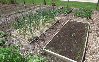 4 Benefits of Raised Beds
