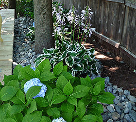 wood patio in one week, gardening, outdoor living, patio