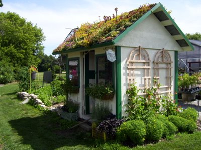 shed rooftop, flowers, gardening, landscape, outdoor living