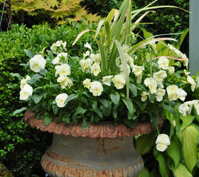 traditional garden urns and contemporary containers