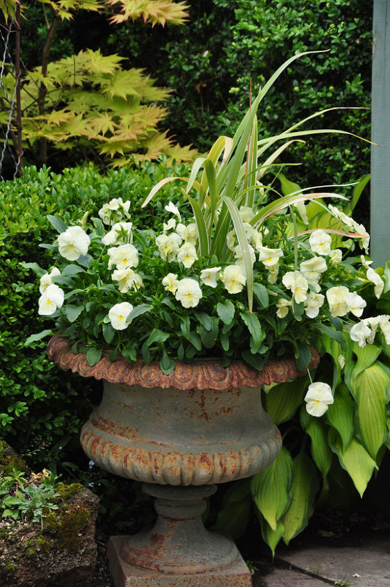 traditional garden urns and contemporary containers