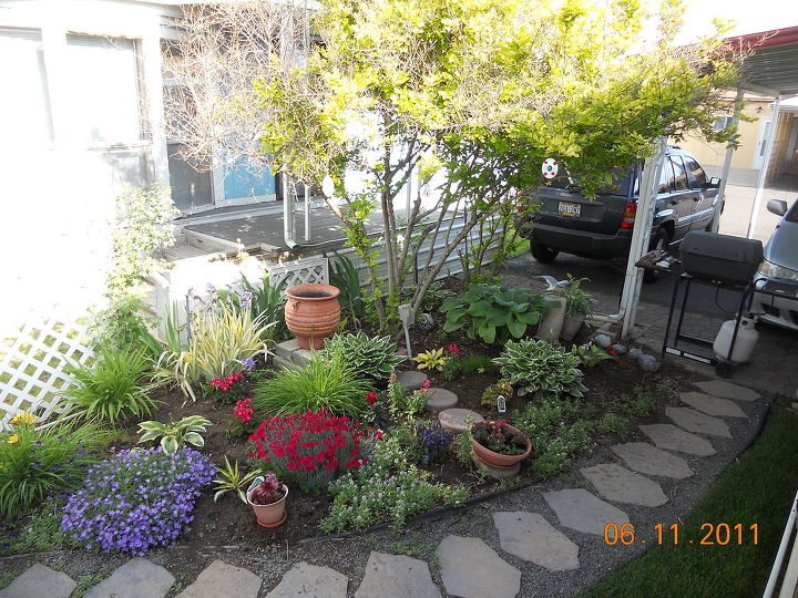 q help with my little garden, flowers, gardening, Last year in bloom until the grass took over and it got so crowded Alyssum fills in every spot bless its heart