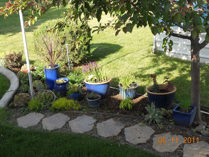 q help with my little garden, flowers, gardening, How can I arrange these pots in a clever attractive way