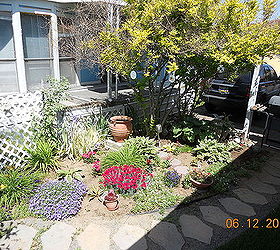 q help with my little garden, flowers, gardening, last year