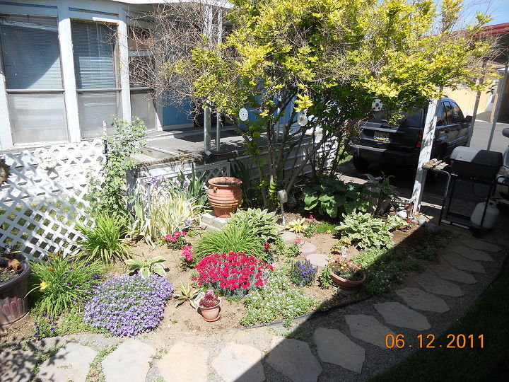 q help with my little garden, flowers, gardening, last year