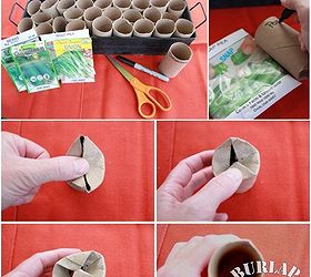 toilet paper roll seed starters, gardening, repurposing upcycling, DIY biodegradable seed pots