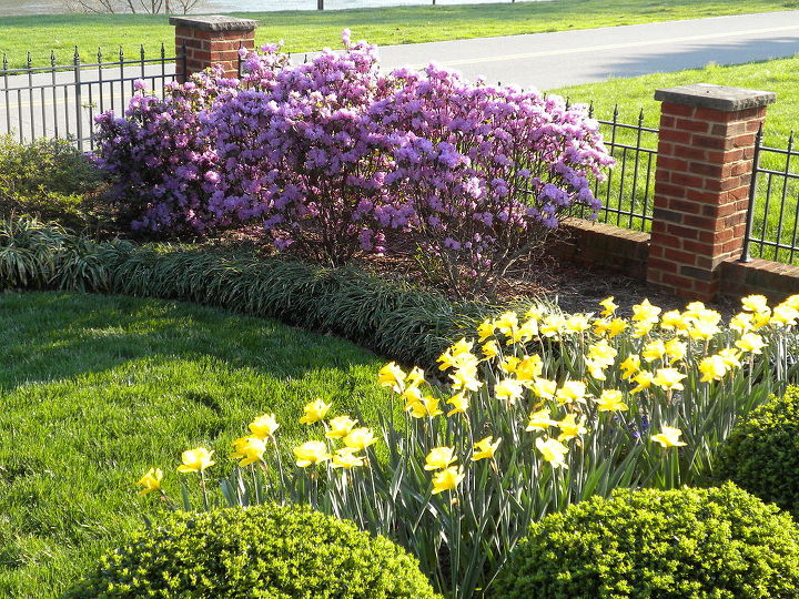 landscape lessons learned and pitfalls to avoid, concrete masonry, flowers, gardening, home improvement, landscape, perennial