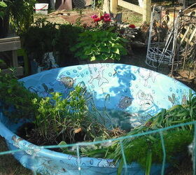 garden and pond from old home digging all up to take to new home, crafts, flowers, gardening, hibiscus, ponds water features, plants brought from home and put in our old pool from dogs til planted this past spring