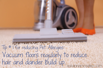 how reduce cat allergies, cleaning tips, pets animals, Vacuuming floors regularly will help reduce dander and pet hair in the carpet and on hard floor surfaces