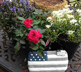 red white and blue patriotic plantings with heart, container gardening, flowers, gardening, perennials