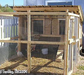 chicken coop hen coop building idea, diy, homesteading, outdoor living, pets animals, woodworking projects, Cheap Hen Coop Idea My Summer chicken coop Building instructions
