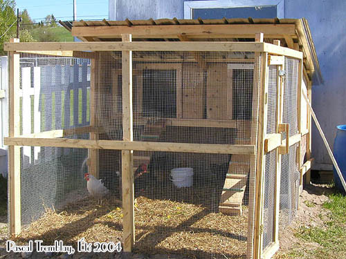 chicken coop hen coop building idea, diy, homesteading, outdoor living, pets animals, woodworking projects, Cheap Hen Coop Idea My Summer chicken coop Building instructions