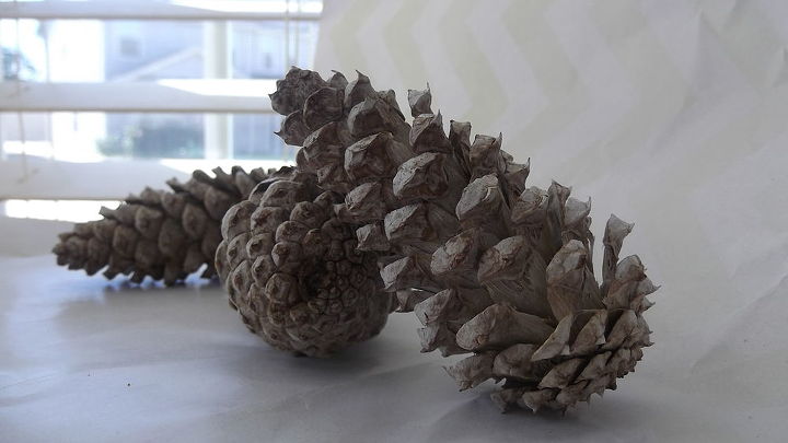bleached pine cones, crafts, 4 Place the pine cones in the oven on 200 degrees for a few hours Mine took about 3 to fully dry and open back up