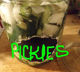 fresh grown dill make delicious refrigerator pickles, gardening, homesteading