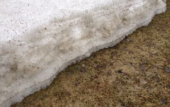 Winter's Harsh Temps Leaving Your Lawn Frightful?