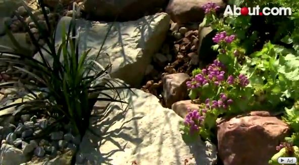 video key points to keep in mind when designing a rock garden, gardening