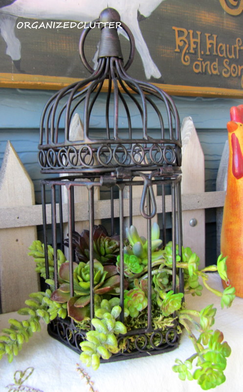 covered patio outdoor vignettes, home decor, outdoor living, repurposing upcycling, Also a decorative bird cage I filled with faux succulents and moss