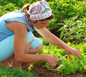 get inspired six reasons to do yard work, gardening
