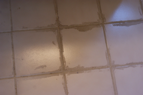 removing dried on grout and refreshing grout lines, cleaning tips, home maintenance repairs, tiling, These were our floors as we inherited them when we purchased our home