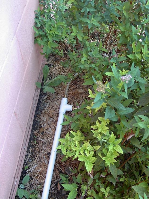 garden irrigation from hvac drainage, T outlet at end to divert drain water in 2 directions