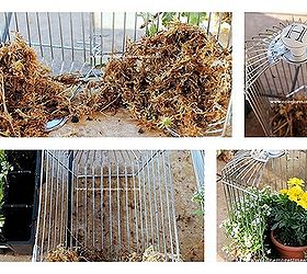 small container gardening in a rotisserie, container gardening, gardening, steps taken to create a small Garden in a Rotisserie Cage