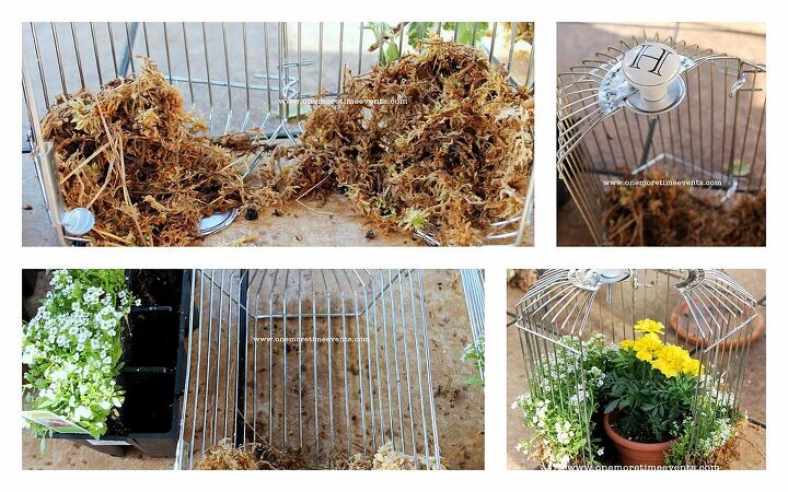 small container gardening in a rotisserie, container gardening, gardening, steps taken to create a small Garden in a Rotisserie Cage