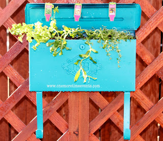 planting a herb garden in a mailbox, gardening, Herb garden in Mailbox