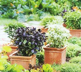 basic gardening tool tips for beginners, gardening, tools