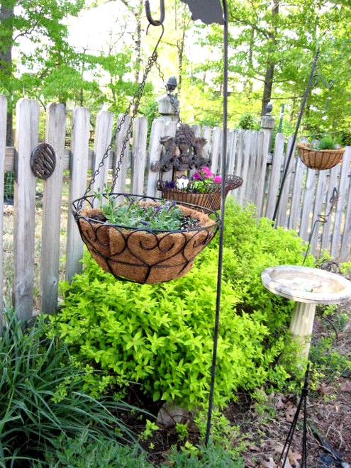 perennial gardens, flowers, gardening, perennials