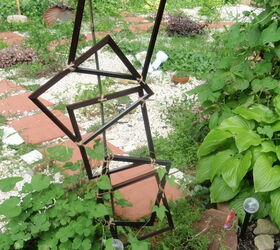 morning glory madness trellises, crafts, gardening, repurposing upcycling, Look closely and you can see that after only two days the vines have begun their climb