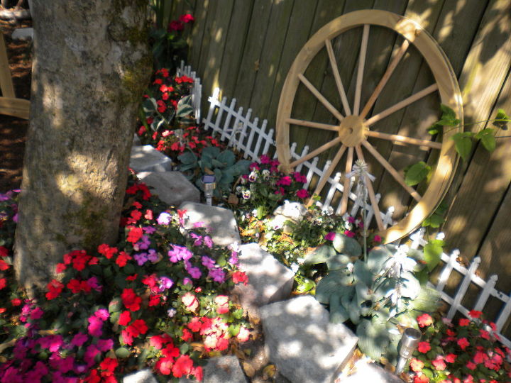 my backyard garden, flowers, gardening, outdoor living, Wagon wheel