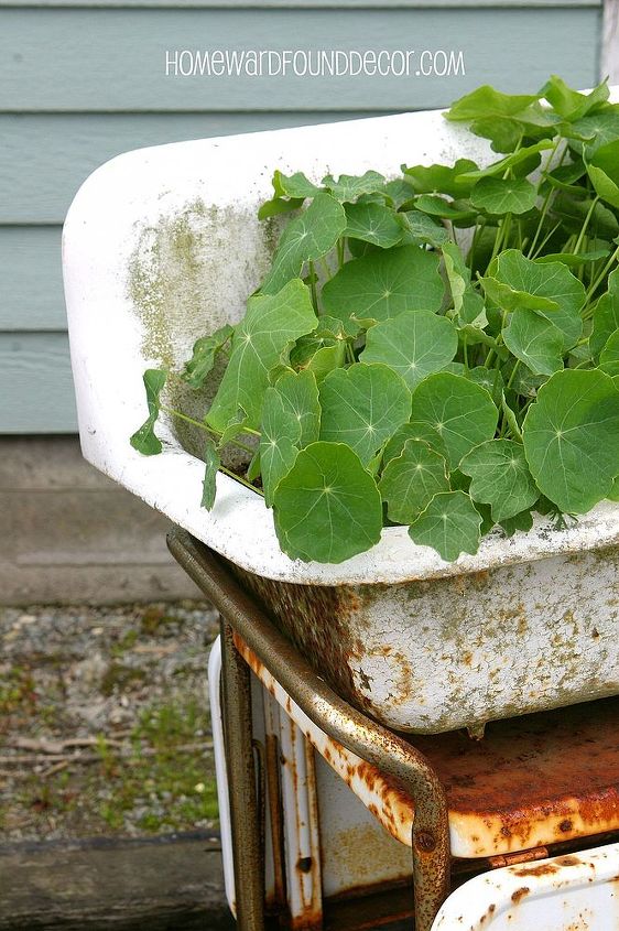 i have a sink ing feeling about this project, flowers, gardening, outdoor living, repurposing upcycling, Perfect planter in the garden a vintage sink