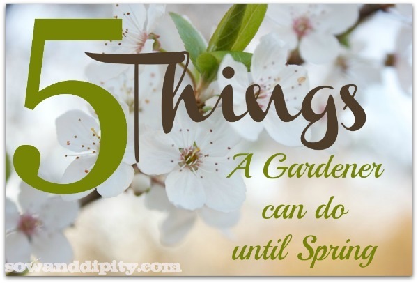 5 things a gardener can do until spring, gardening