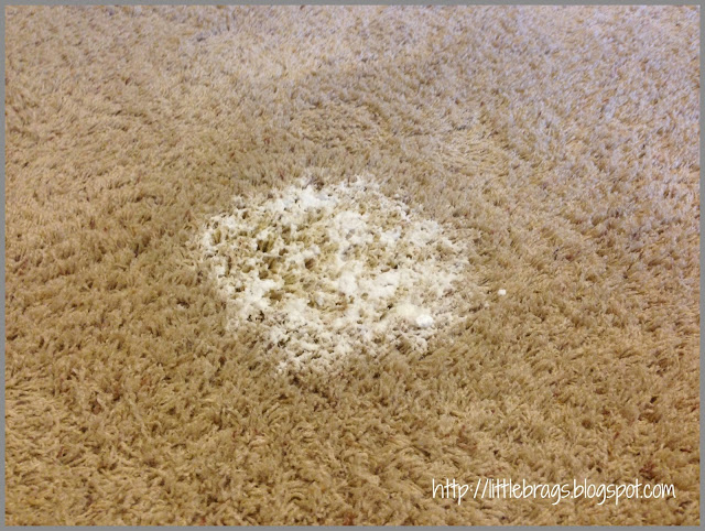 how to remove pet stains from carpet, cleaning tips, flooring
