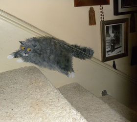cozinha vitoriana, gato e rato nas escadas da frente