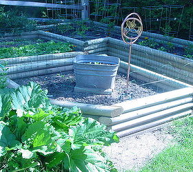 the raised garden i designed and my hubby built, diy, gardening, raised garden beds, woodworking projects, The galvanized tubs have rainbow Swiss chard and red kale for garden center pieces