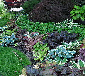 a garden in the shade, This homeowner has mixed different colored heuchera and hostas in a way that I haven t quite seen before Though there isn t that much in flower it is still colorful