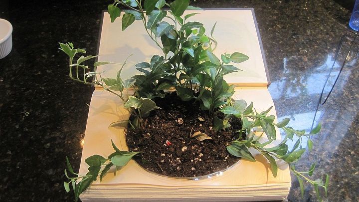 mini garden in a book, crafts, home decor, Plant garden in clear plastic pot liner and insert in pages