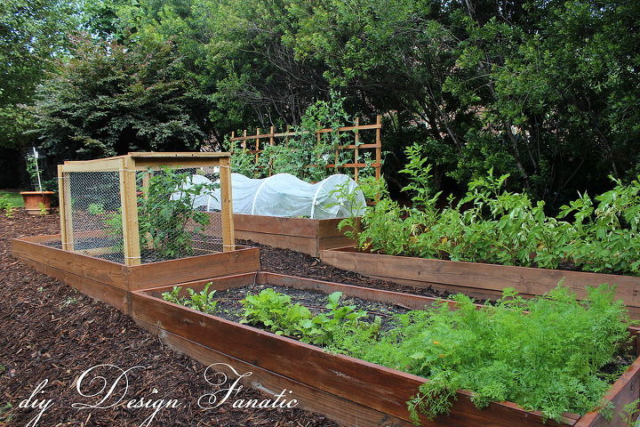 raised bed gardening, gardening, raised garden beds, We built 4 raised beds in our North garden this year