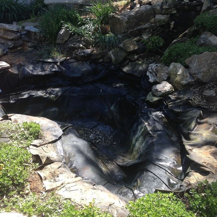pond revamp, ponds water features