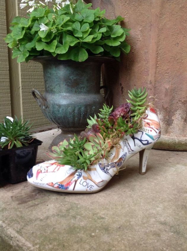 succulent shoe garden, flowers, gardening, repurposing upcycling, succulents